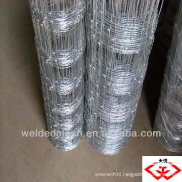 Holland wire mesh(factory)